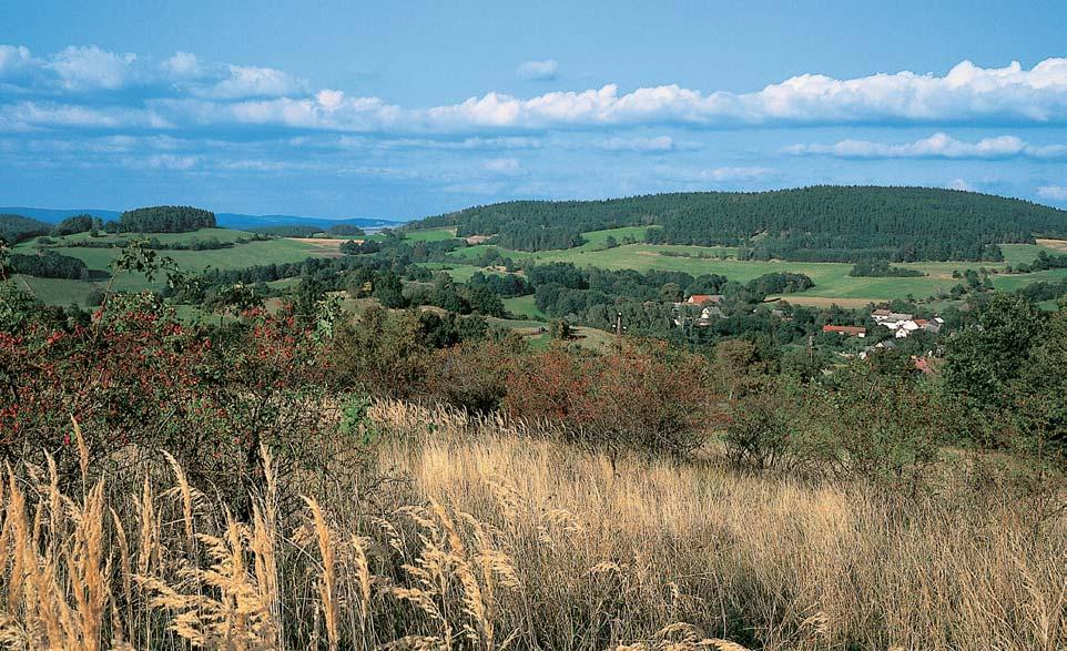 park Jistebnická vrchovina Byl vyhlá en v roce 996 Okresním úfiadem Bene ov na rozloze 0 896 ha.