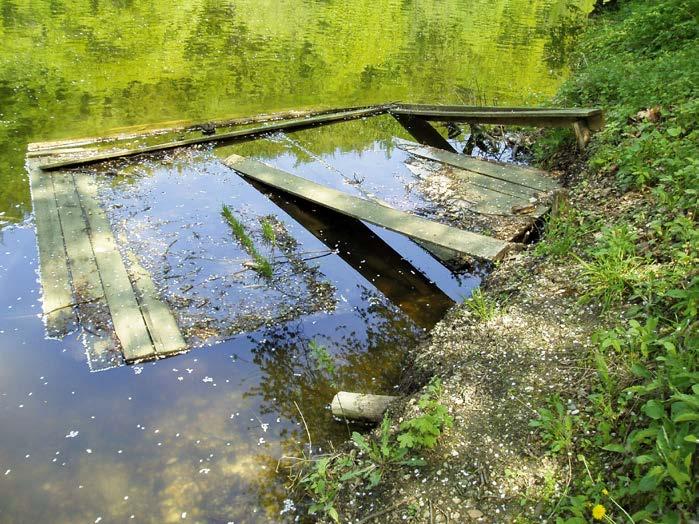 Ptrím k čstým návštevníkom výletného reálu Železná studničk v mestských lesoch BrtiZmestnávteľ určiť tívnejšie zbezpečovnie konplnkov.