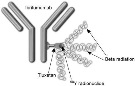 2.1.3. Konjugované IBRITUMOMAB TIUXETAN Konjugovaná MA se vyskytuje pod obchodním názvem Zevalin. Tato molekula je stále předmětem dalších studií.