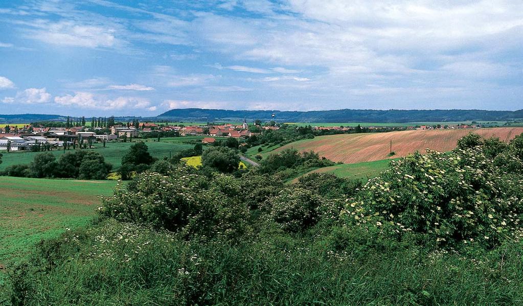 Stfiední âechy 2 Úrodné ãervené pûdy na horninách permokarbonu, kefinaté meze a na severním obzoru strohá linie tabule DÏbánu je typick obraz Rakovnické kotliny.