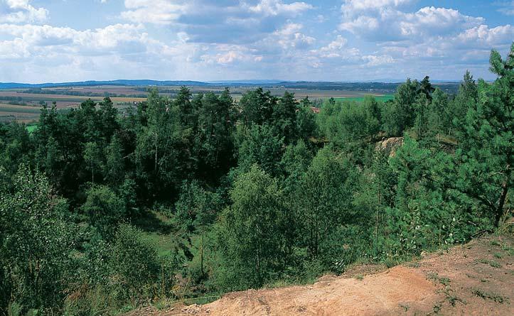 Stfiední âechy KRAJINN POKRYV Pohled z Pfiílepské skály pfies