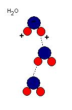 Vodíkové můstky mezi molekulami vody Autor: