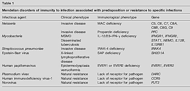 Curr Opin Immunol 2006 Budoucnost Budoucnost