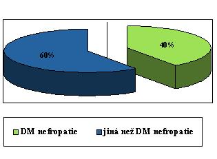 Zastoupení nefropatií u pacientů s DM1999-2002