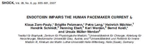 determinants of myocardial VO 2