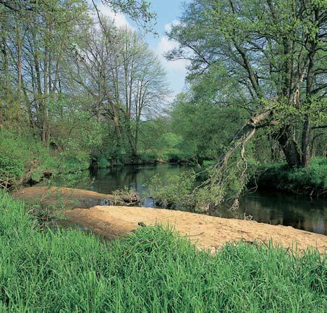 Pfiírodní rezervace Meandry LuÏnice Meandrující,,8 km dlouh tok LuÏnice s pfieplavovanou nivou km severnû od Majdaleny.