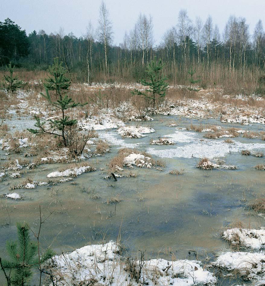 âeskobudûjovicko GEOLOGIE Horninové podloïí tvofií pfieváïnû rûznobarevné pískovce, slepence, jílovce a prachovce svrchnokfiídového stáfií o mocnosti 50 00 m náleïející k svrchnímu oddílu klikovského