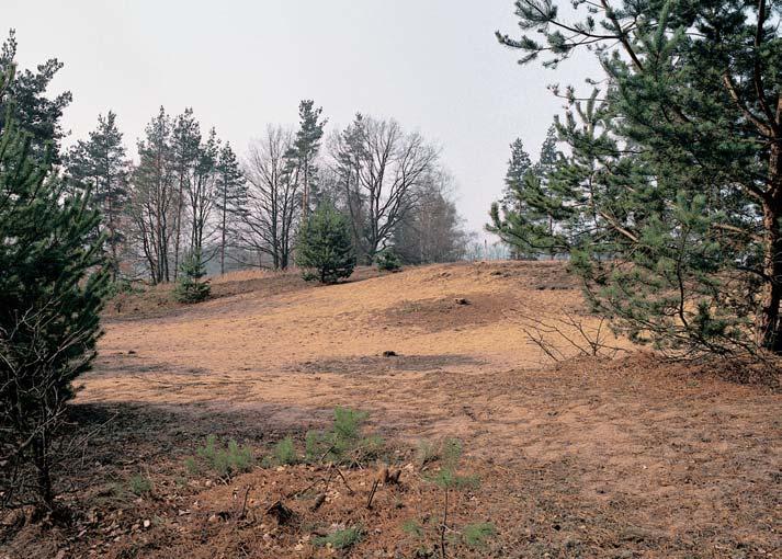 âeskobudûjovicko GEOLOGIE Svrchnokfiídové sedimenty jsou pfiekryté mocn mi polohami pleistocenních fluviálních tûrkû a pískû a na povrchu pfiekryté eolick mi sedimenty vát mi písky, pravdûpodobnû