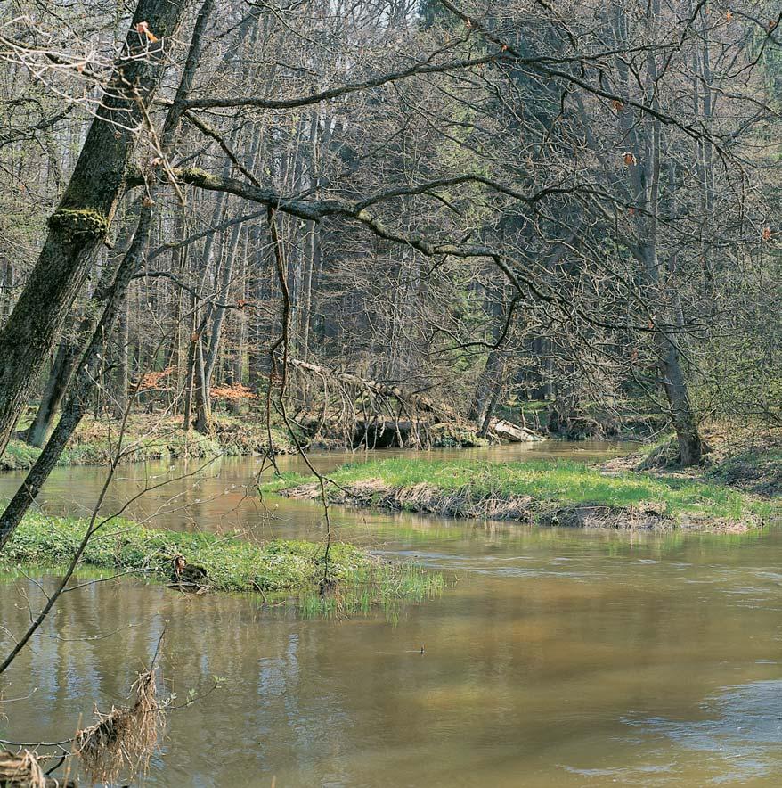 âeskobudûjovicko GEOLOGIE Horninové podloïí tvofií pískovce, slepence, jílovce a prachovce svrchnokfiídového stáfií zastoupené ve spodním oddílu klikovského souvrství (turon campan).