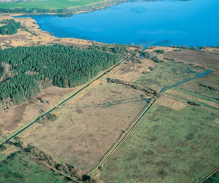 Pfiírodní rezervace Záblatské louky Západní ãást rybníka Záblatsk (305 ha) s pfiilehl m komplexem podmáãen ch luk, km jiïnû od obce Lhota udynína.