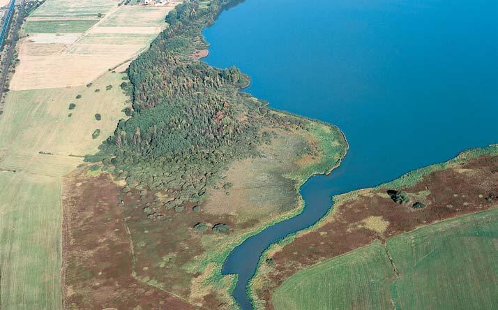 âeskobudûjovicko GEOLOGIE Horninové podloïí je tvofieno svûtl mi kaolinick mi pískovci aï slepenci a pestr mi a bûlo ed mi jílovci svrchní kfiídy v rámci svrchního oddílu klikovského souvrství