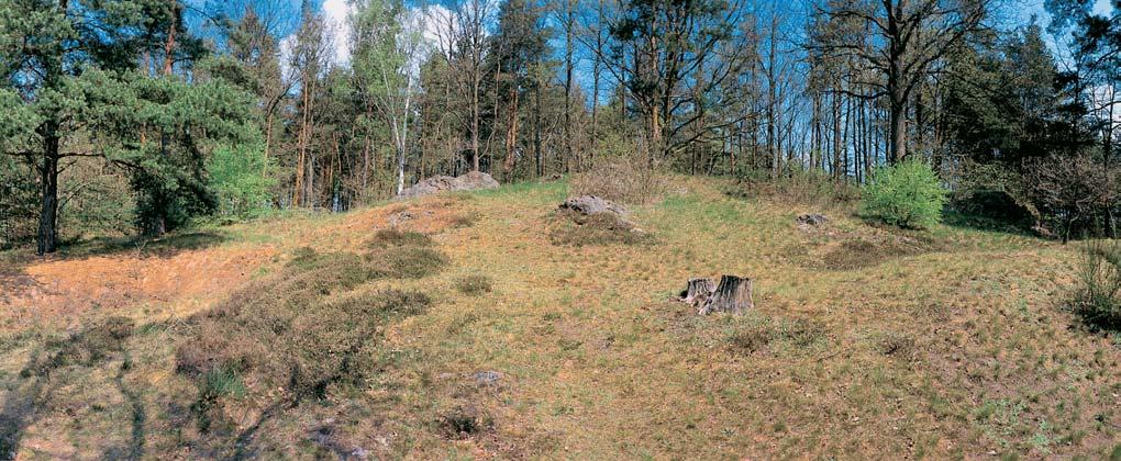 CHKO TfieboÀsko Pfiírodní památka Kozí vr ek Terénní vyv enina (k. 4,0 m n. m.) s v chozem ruly na severním okraji obce Vlkov.