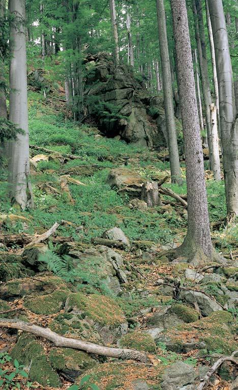 âeskobudûjovicko GEOLOGIE Horninové podloïí tvofií granulitov masiv Blanského lesa, vystupující ve vrcholov ch partiích v podobû mohutn ch skalních útvarû s balvanit mi sutûmi na úpatí.