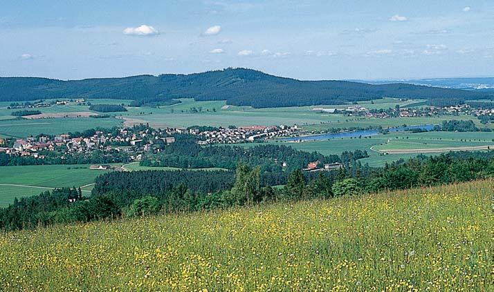 âeskobudûjovicko GEOLOGIE Území pfiírodní památky leïí v centrální ãásti granulitového masivu Blanského lesa, pfievaïující horninou je slídnat granulit.