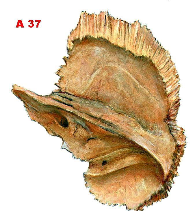 Canalis nervi facialis 1) anterolaterálně 2) posterolaterálně 3) kaudálně n.
