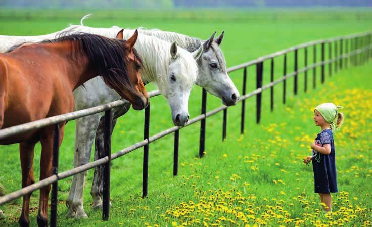 svaloviny nosnic byla zjištěna rezidua methomilu (pesticid karbamát) v intervalu 50 75 % hodnoty maximálního limitu.