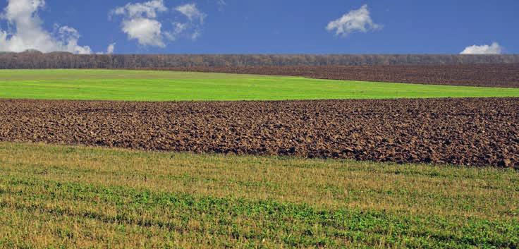 3.2.2 Hodnocení rybničních sedimentů Od roku 1995 do konce roku 2016 bylo odebráno a analyzováno celkem 513 vzorků sedimentů.