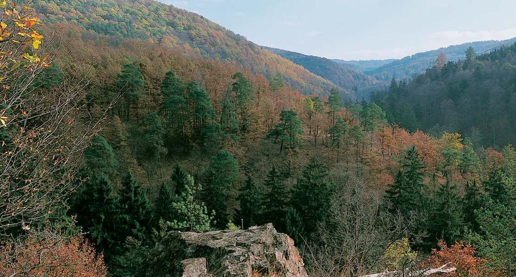 Stfiední âechy 2 Pohled na nejvy í ãást sopeãn ch vrchû kfiivoklátsko-rokycanského pásma odkr vá mimofiádnou pestrost kfiivoklátsk ch lesû, jaká nemá obdoby v ãesk ch zemích.