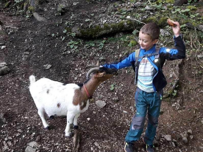 No a ráno sestup k autu. Cestou nás přepadli domorodci.