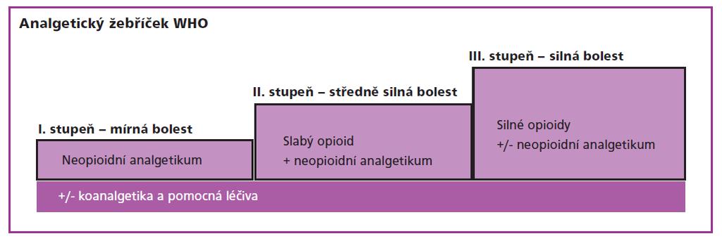 3 FARMAKOLOGICKÁ LÉČBA 31 silnějšího. Jedná se právě především o onkologické pacienty, u kterých předpokládáme rychlejší navyšování dávky analgetik (Doležal et al. 2008, Vyzula et al. 2013).