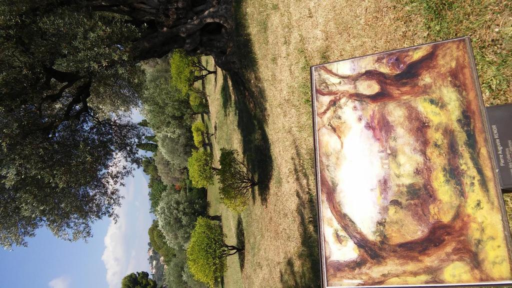 Renoir a olivovníky Neděle 3.7.