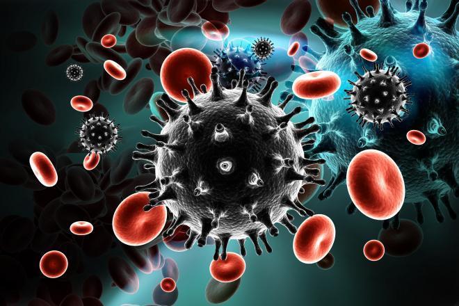 V taxonomickom systéme vírusov patrí HIV do čeľade: Retroviridae podčeľade: Lentiviridae Dva typy vírusov: HIV -1 a HIV -2 vykazujú mierne odlišnosti vo svojich povrchových štruktúrach, v