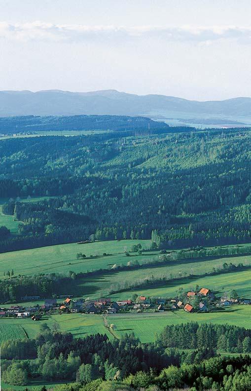Královéhradecko Le tûn fiez zkamenûlou lodyhou pfiesliãky. 38 CHKO BR 6 tûrky jsou velmi hrubé, nevytfiídûné a nedokonale opracované.