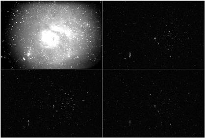 Model vlnkových koeficientů Dyadická dekomposice astronomického snímku Hi HH1 Hi Lo HL1 Hi LH1 Lo Lo LL1 1 1 0.8 0.