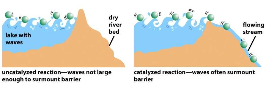 Enzymy - analogie Figure 2-46a Molecular