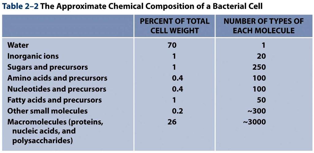 Chemické složení buněk Table 2-2 Molecular