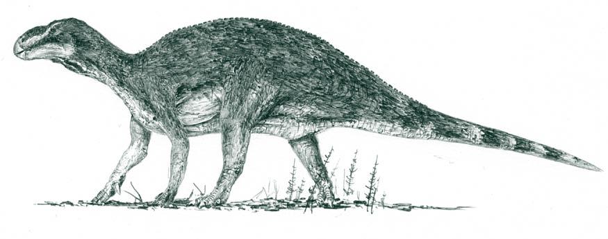 Přesnou podobu českého dinosaura od Kutné Hory bohužel neznáme, protože se zachovala jen velmi malá část jeho zkamenělé kostry.