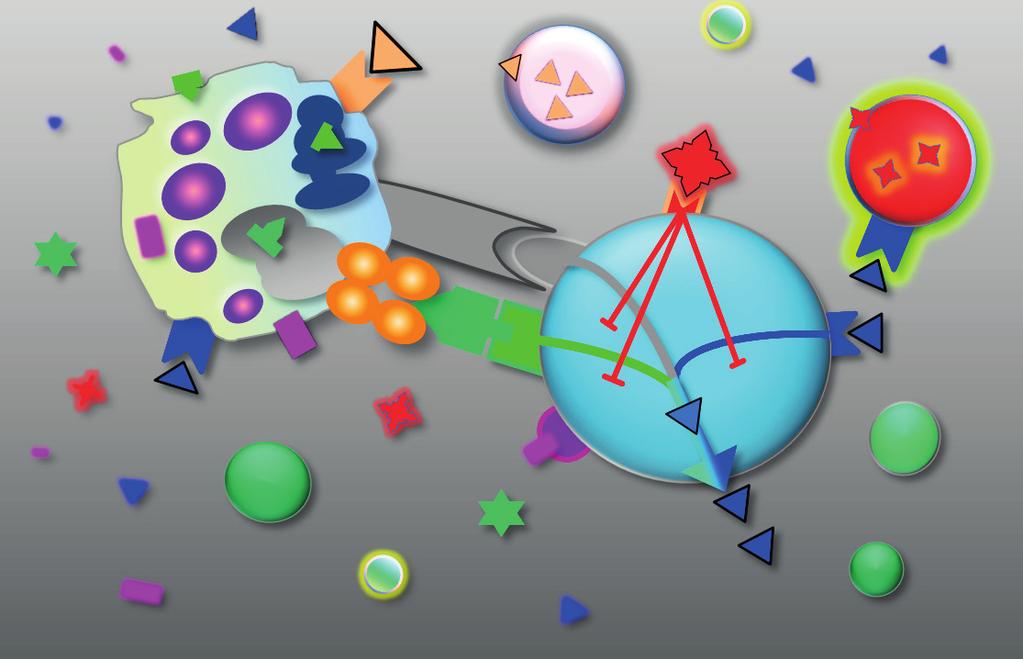 inosinum pranobexum Petr Jílek imunomodulátor Petr Jílek DVOJÍ MECHANISMUS ÚČINKU antivirotikum Imunologie KDO SE UMÍ BRÁNIT, MÁ KLIDNÝ SPÁNEK Klinický přínos byl prokázán u akutních virových infekcí