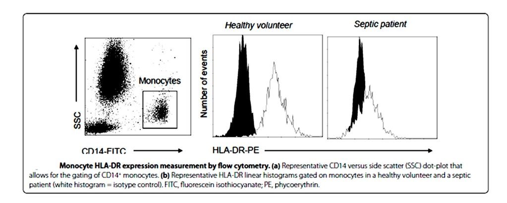 Monocyty u septických pacientů snížená tvorba prozánětlivých mediátorů snížená