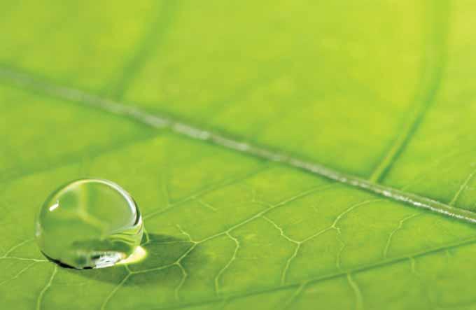 Ekologicky udržitelné řešení Chladicí jednotky Sintesis tvoří součást portfolia produktů Ingersoll Rand EcoWise, které jsou navrženy s cílem snížit jejich ekologický dopad díky chladivům nové