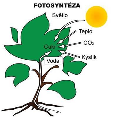 1) Sluneční energie: energie fotonů viditelné části slunečního spektra tj.