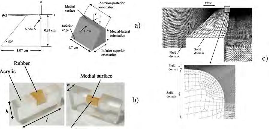 5.4 MODELOVÁNÍ FUNKCE HLASIVEK POMOCÍ FEM A CFD ANALÝZY Obrázek 5.13: [13] a) Geometrie modelu a orientace v souřadném systému, b) Polyuretan - kaučukový model s jeho upevněním, c) Rovinný FEM model.