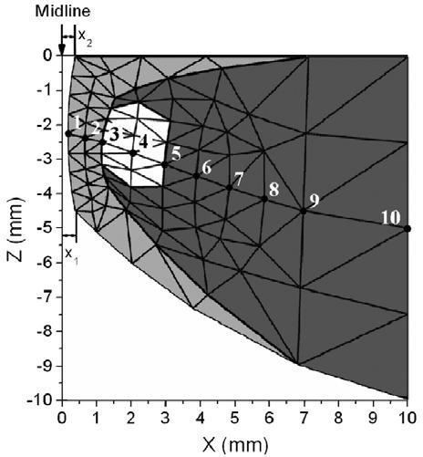 5.4 MODELOVÁNÍ FUNKCE HLASIVEK POMOCÍ FEM A CFD ANALÝZY Obrázek 5.