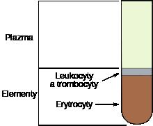 http://cs.wikipedia.