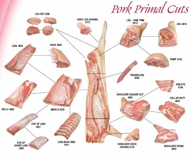 Obr. č.2: Hlavní masité části JUT (www.sanger.com.au/images/pork.jpg) 3.2.3 Výtěžnost Výtěžnost je poměr jatečně upraveného těla za tepla k porážkové hmotnosti.