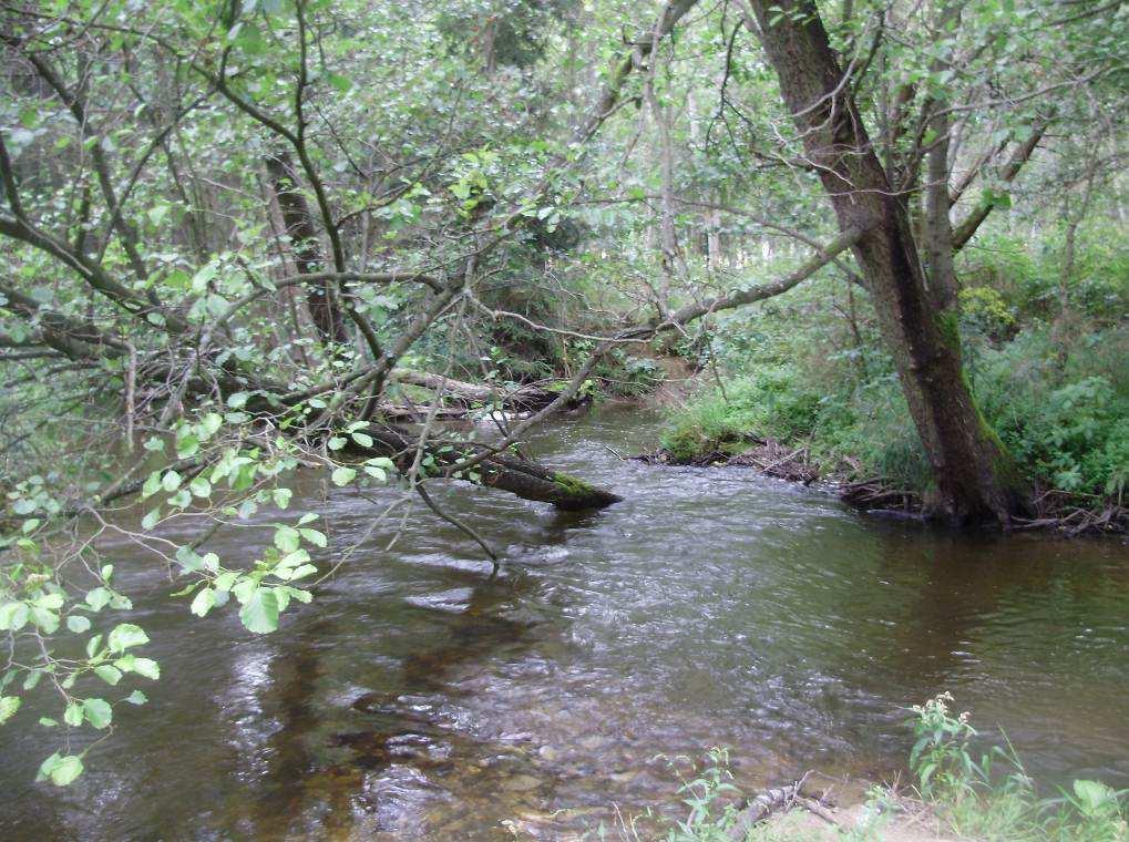 Obrázek C3: Soutok původního toku řeky a průvalového koryta.