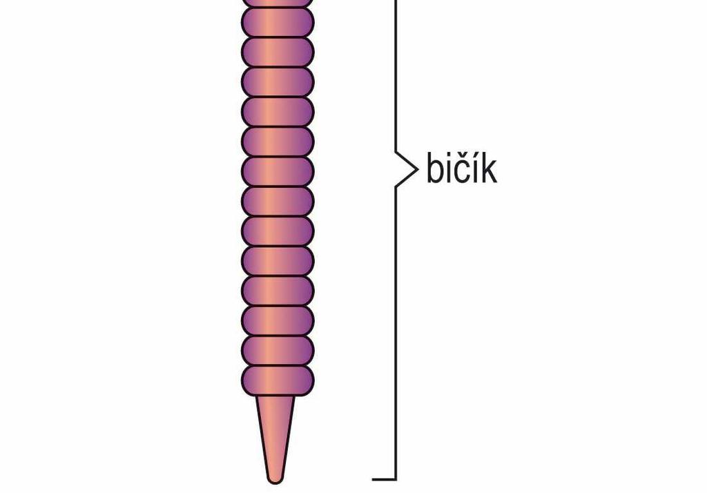 (např.