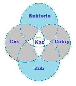 zubního kazu. Složení zubní pasty musí odpovídat věku dítěte. Dle jednotek fluoru (ppm) jsou pasty děleny na pasty určené dětem do 2 let (250ppm), do 6 let (500ppm) a nad 6 let (1000ppm).