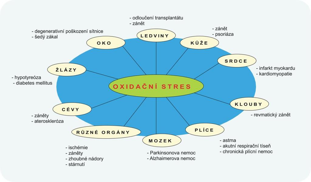 Obr. 5 Oxidační stres a vznik onemocnění. 2.5 Teplota Příznivá teplota pro život buněk je kolem 37 C.