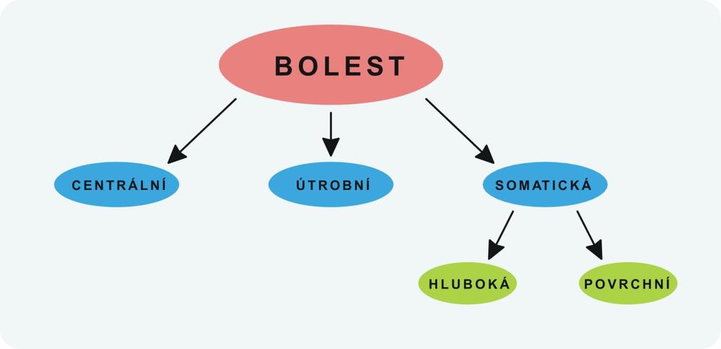 Vnímání bolesti je založeno na dráždění specifických receptorů (algoreceptorů) či nespecifických receptorů: mechanosenzitivních (tlak, spazmus hladkých svalů), chemosenzitivních (serotonin,