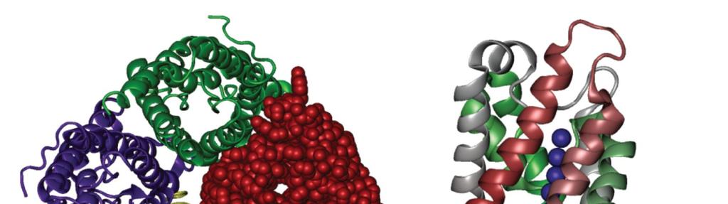 mrna (hormony) vodní stres nedostatek výživy Posttranslační modifikace: fosforylace metylace Cytoplazmatické ph mění pohyb vody: anoxie => kyselá