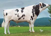 17500038046 2 305 13170 4,37 584 3,79 500 EX 90 ČESKÁ REPUBLIKA/ CZECH REPUBLIC 8/2016 Mléko Milk +1614 kg Fat 0,08 % +45 kg Bílkoviny Protein 0,17 % +27 kg Opakovatelnost Reliability 90 % (93