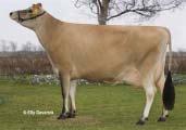 EX 90 GENOMICKÉ PLEMENNÉ HODNOTY USA/ GENOMIC BREEDING VALUES USA 8/2016 Mléko Milk +274 lb Fat +0,30 % +72 lb Bílkoviny Protein +0,13 % +34 lb Opakovatelnost Reliability 70 % JPI celk.