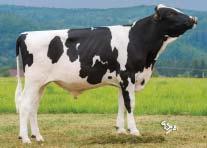 3,2 387 3,1 375 VG 85 GENOMICKÉ PLEMENNÉ HODNOTY USA/ GENOMIC BREEDING VALUES USA 8/2016 Mléko Milk +1512 lb Fat + 0,08 % +78 lb Bílkoviny Protein +0,03 % +54 lb Opakovatelnost Reliability 75 % TPI