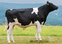 GENOMICKÉ PLEMENNÉ HODNOTY USA/ GENOMIC BREEDING VALUES USA 8/2016 Mléko Milk +1484 lb Fat + 0,01 % +70 lb Bílkoviny Protein +0,02 % +58 lb Opakovatelnost Reliability 75 % TPI celk.