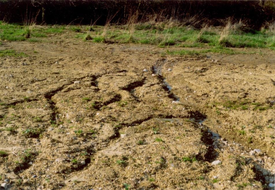 Protierozní ochrana 5. cvičení Téma: GIS řešení USLE stanovení faktorů LS a K.